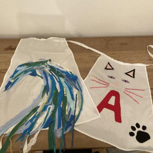Winter Olympics and Extreme Environments Homework projects - Spring Term 2022