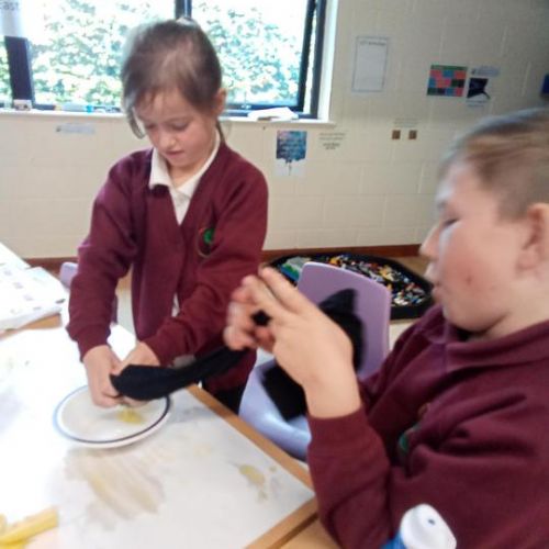 Science - Investigating the Digestive System