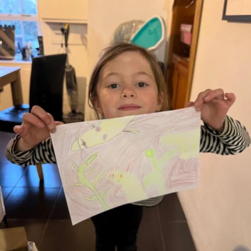 Rainforest Homework Projects - Number 1