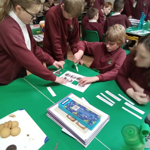 Science - Jaffa Cake Lunar Phases