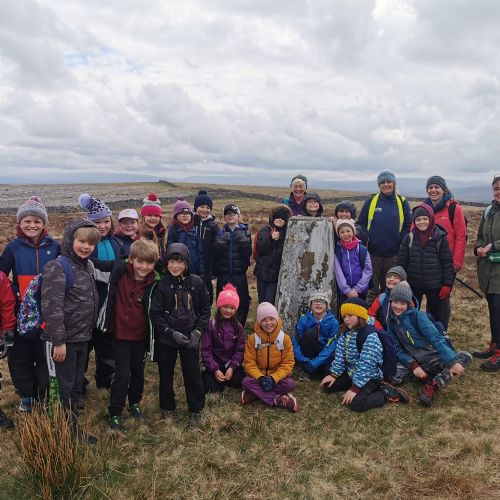 Orton Scar