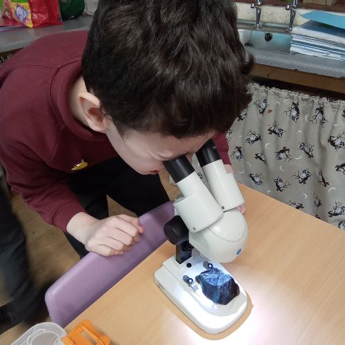 Using Microscopes to make careful observations